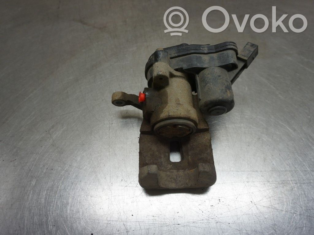 Takajarrusatula   KAY02671X,254178