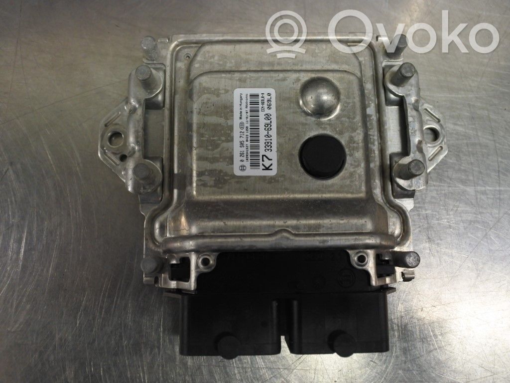 Injection control unit/module   3391069L01,N000079,0261S07288