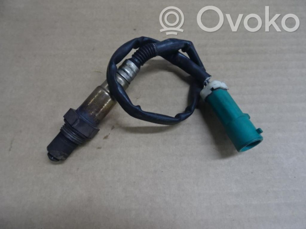 Sonda lambda   1351337,184536,258006574