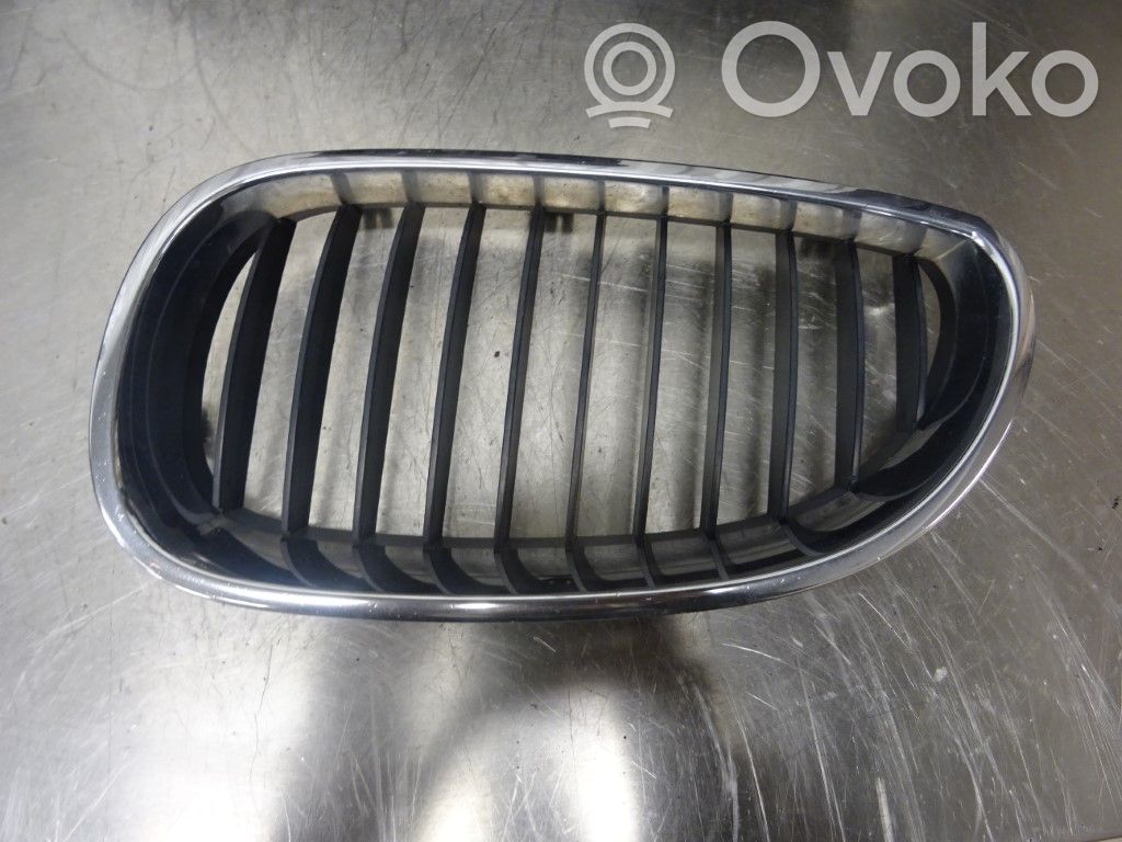 Front bumper lower grill   51137065701,134788