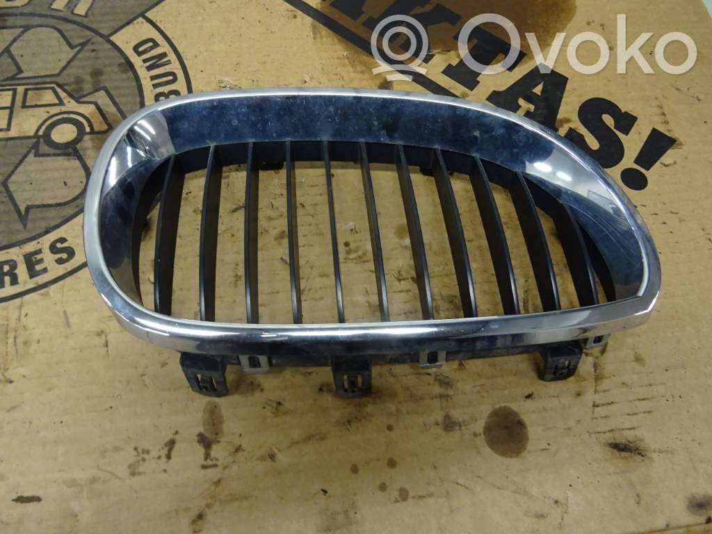 Front bumper lower grill   51137065702,134829