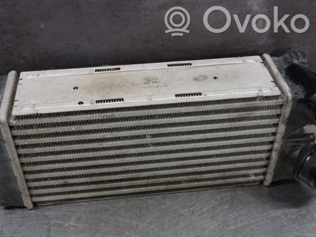 Interkūlerio radiatorius   0384L4,174049