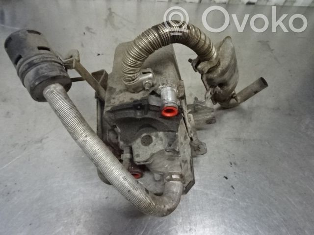 Citroen Berlingo Kraftstoffheizung 