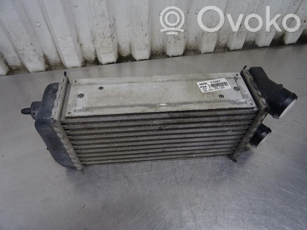 Peugeot 206 Intercooler radiator 