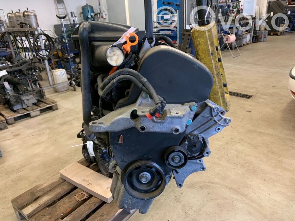 Volkswagen Golf IV Motor 