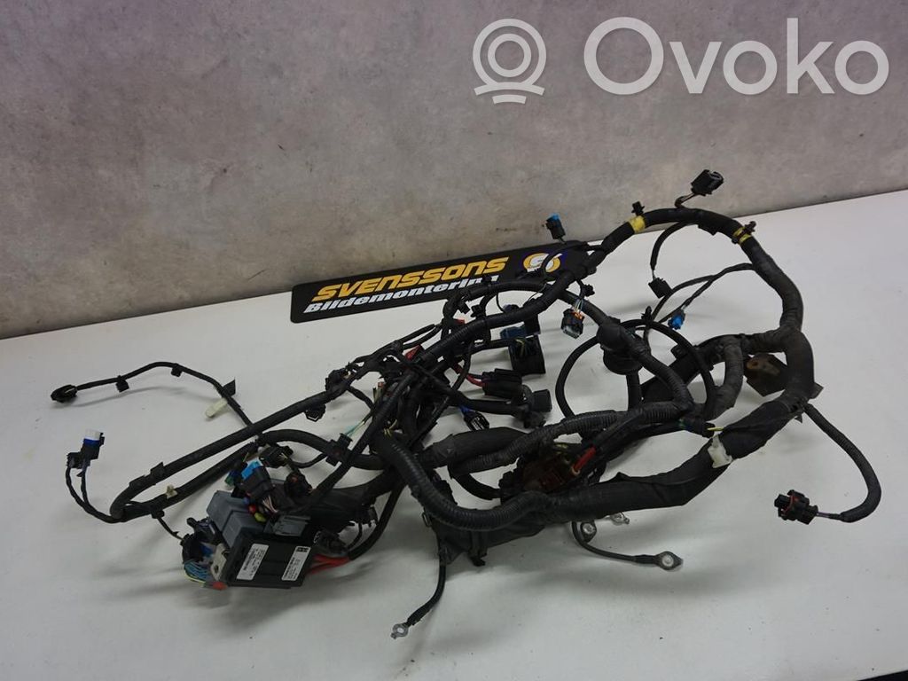 Land Rover Range Rover Evoque L538 Altro tipo di cablaggio