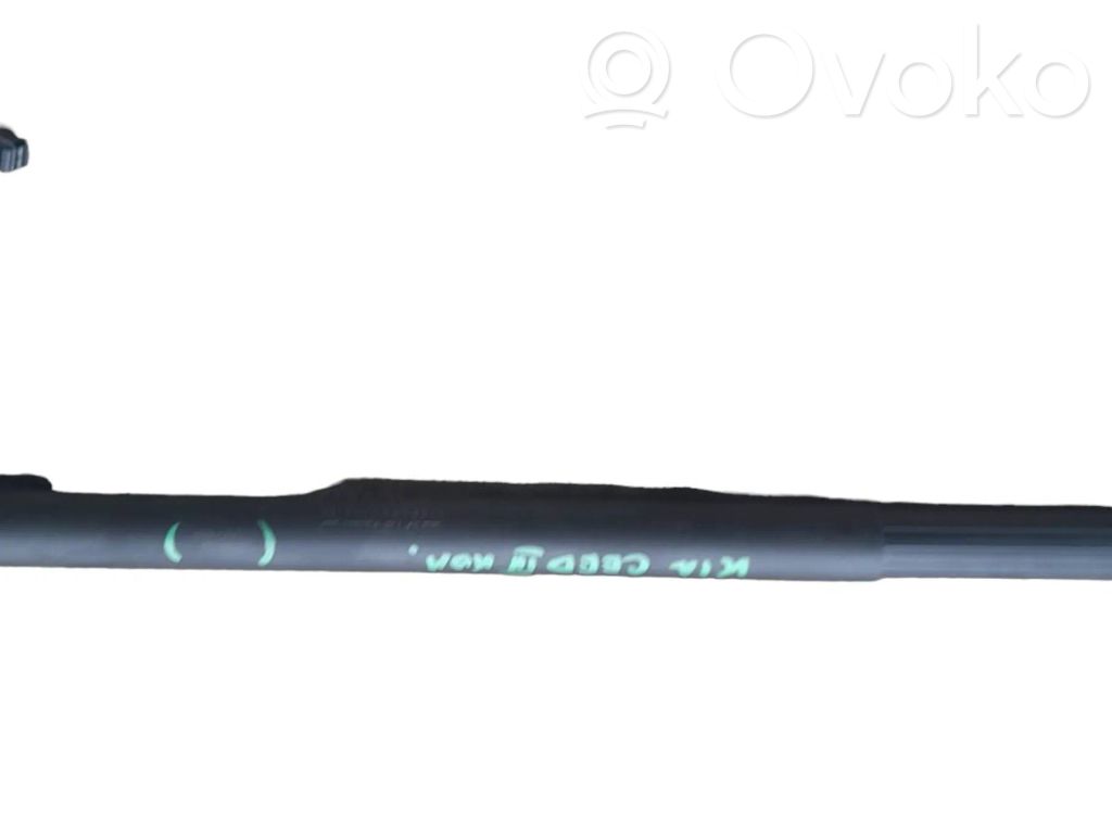 Tailgate strut   81831J7210,0037749,22062022