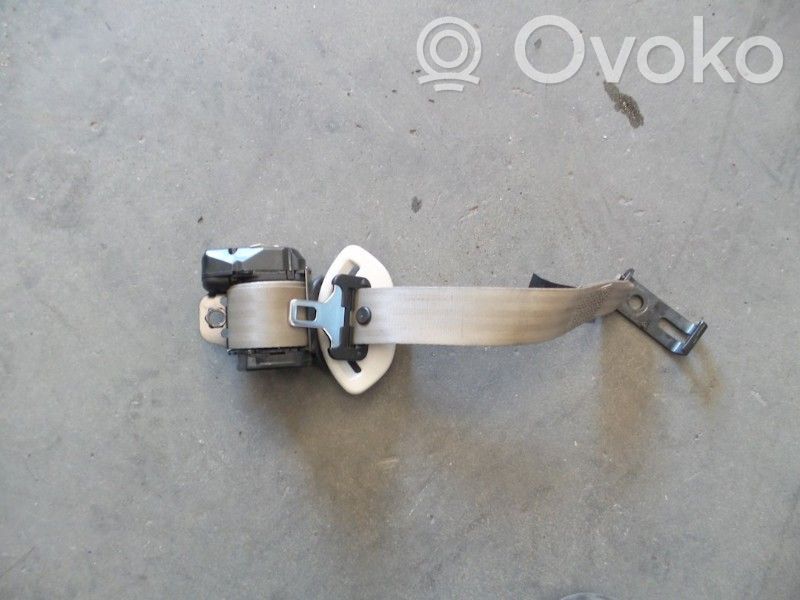 Cinturón trasero   5012596,5553037,5012596,5553037,5553532