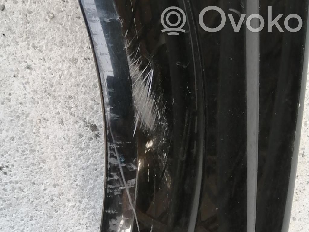 Renault Megane II Sparnas 