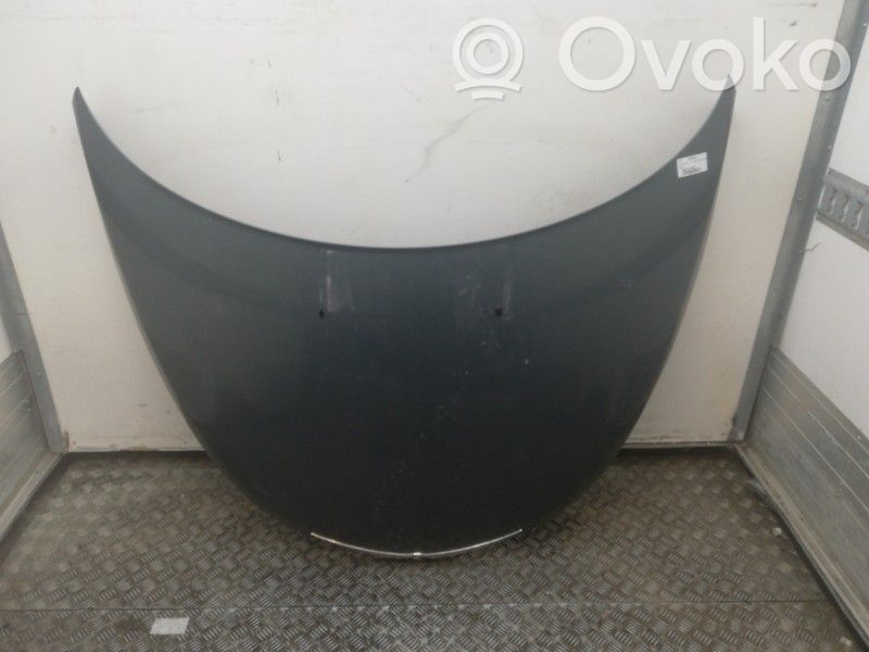 Konepelti   5067639AB