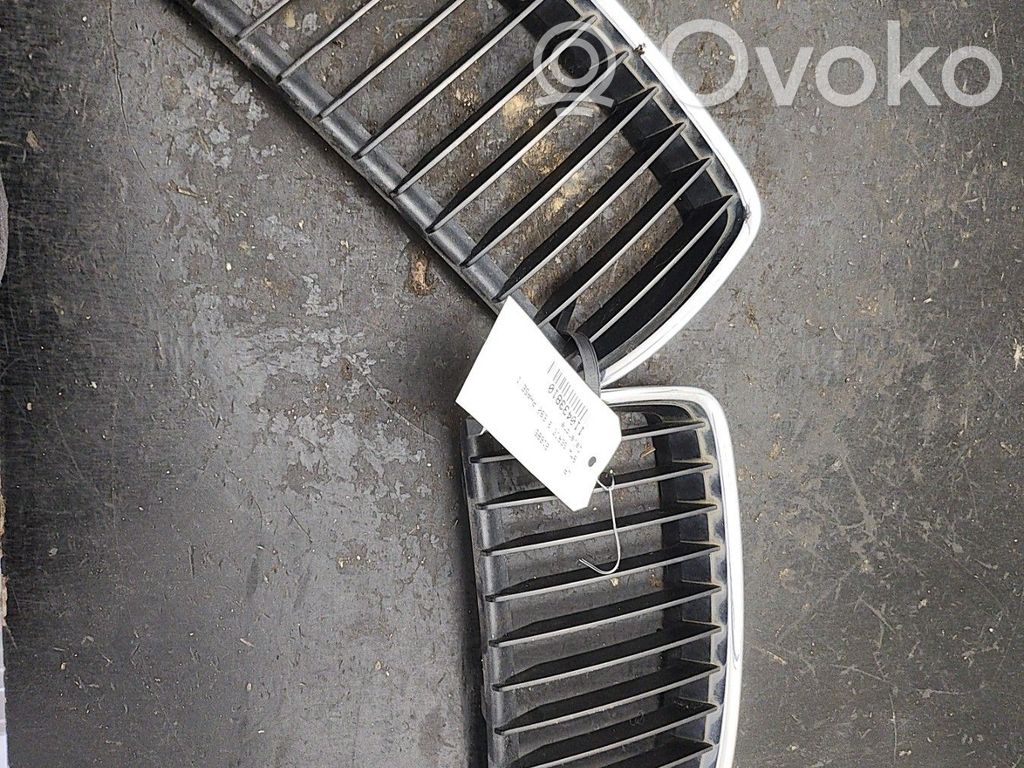 Kühlergrill   51137120008