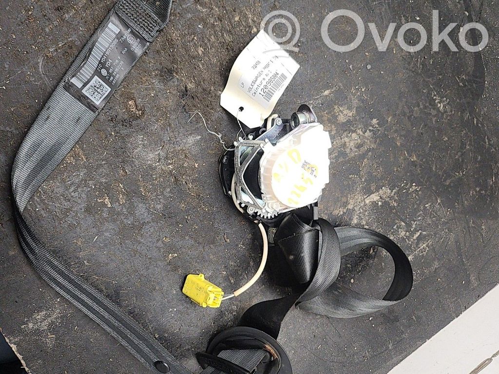 Volkswagen PASSAT B6 Cinturón delantero 