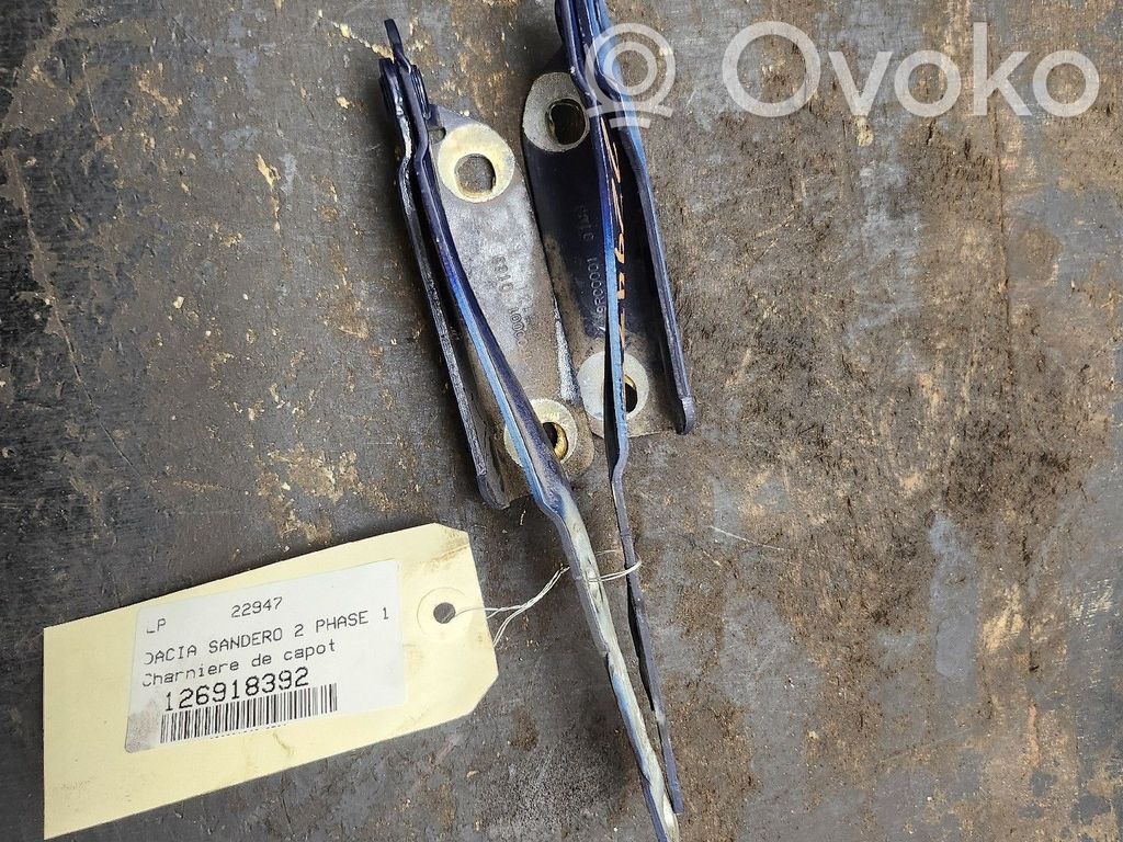 Dacia Sandero Dzinēja pārsega eņģe (-es) 
