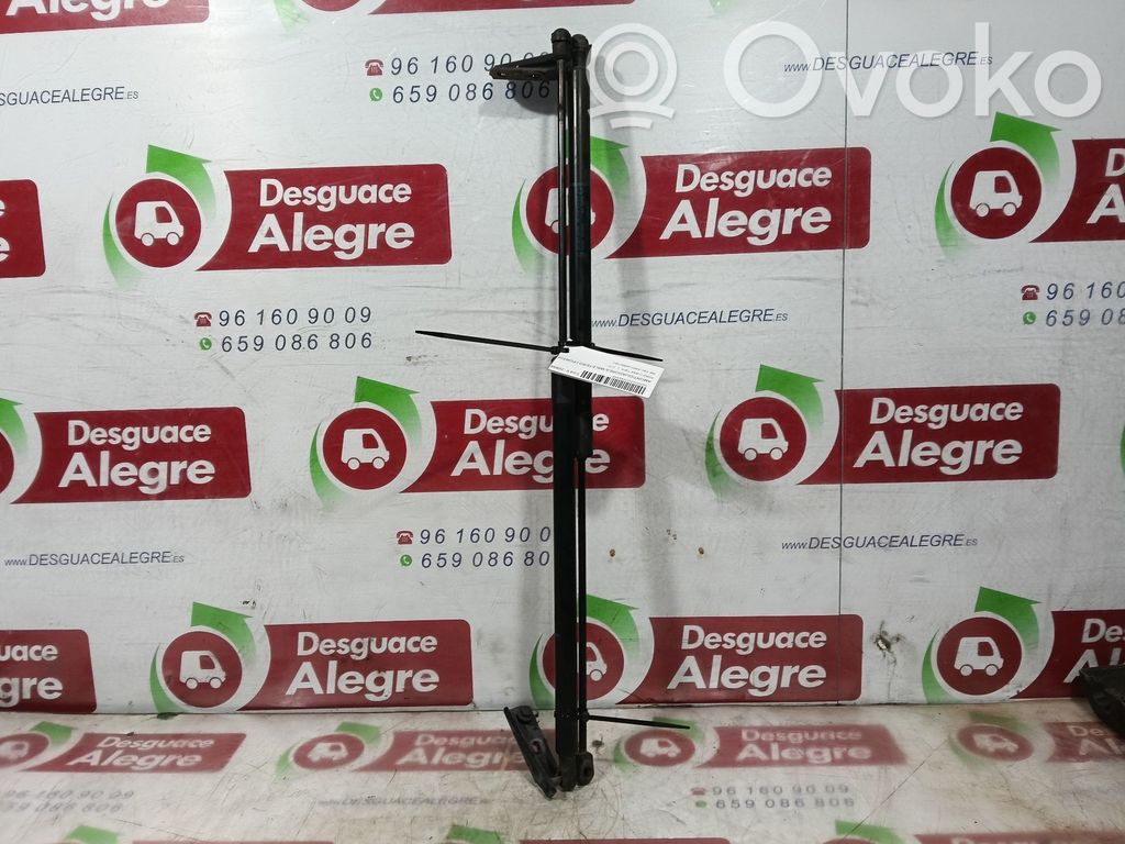Amortiguador/puntal del maletero/compartimento de carga   AM51U406A10AC