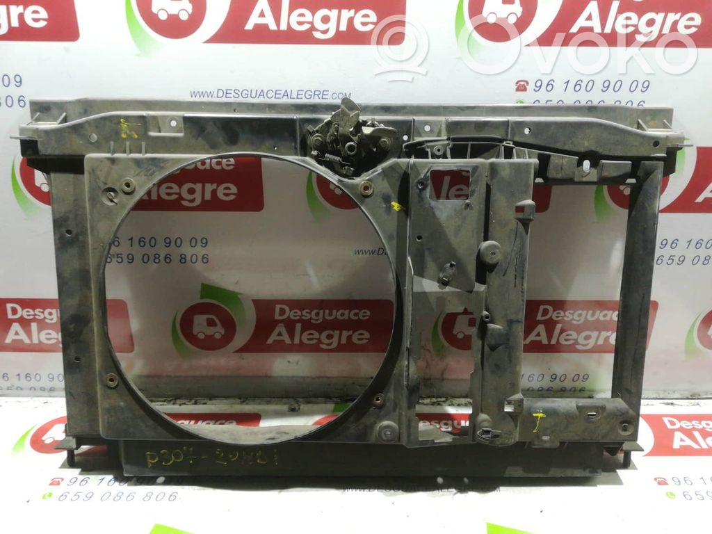 Peugeot 307 Pannello di supporto del radiatore