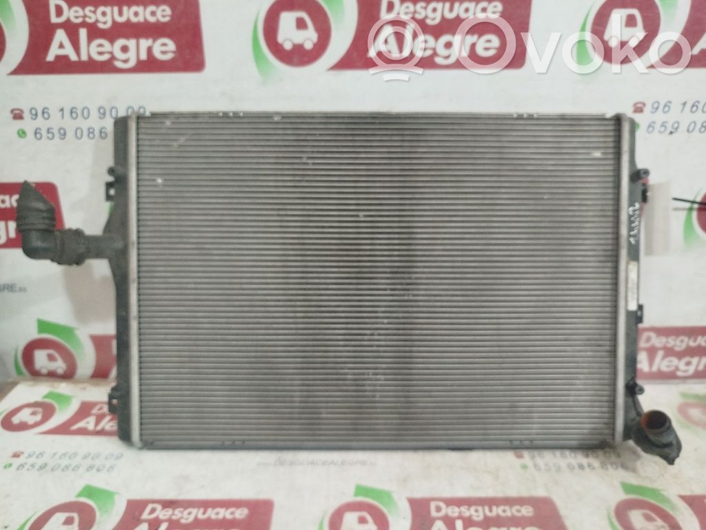 Seat Altea Radiatore di raffreddamento