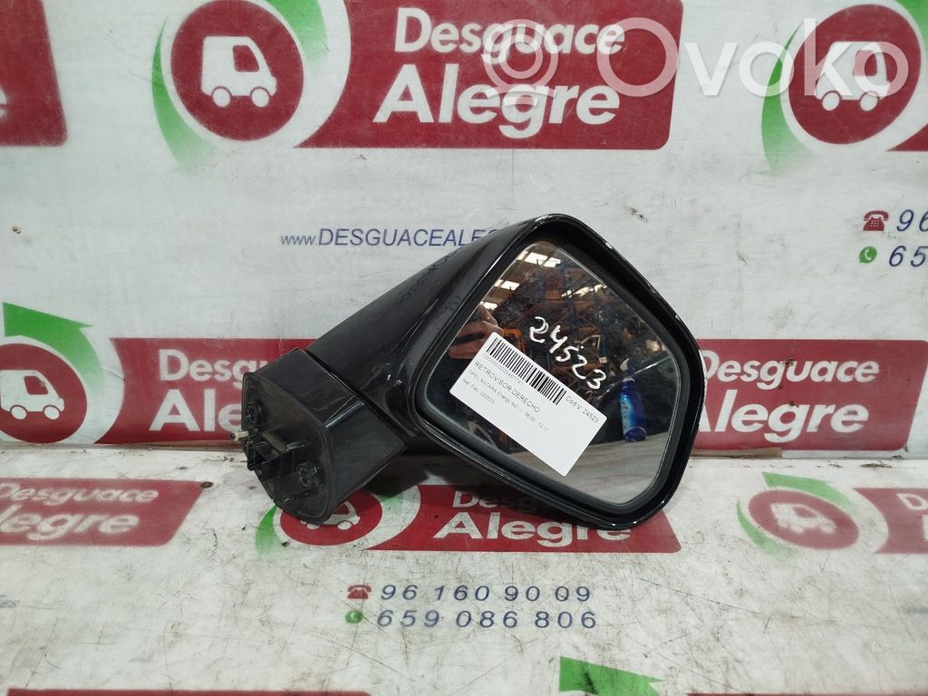 Opel Antara Elektryczne lusterko boczne drzwi przednich 