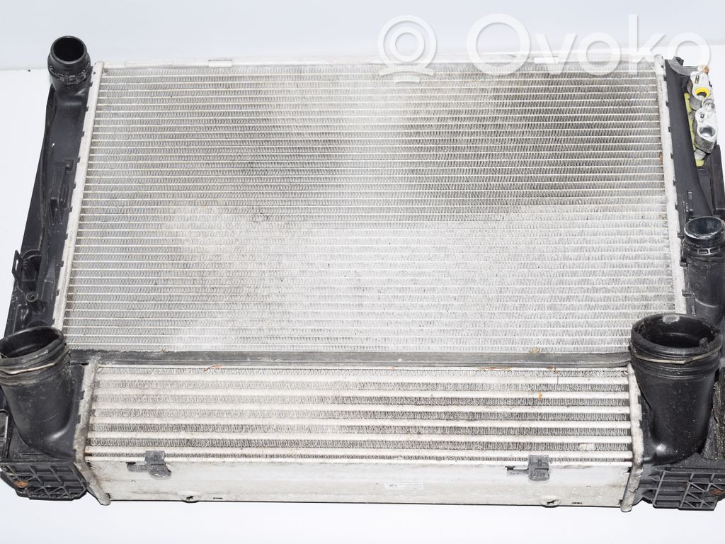 BMW 1 E81 E87 Radiator set 