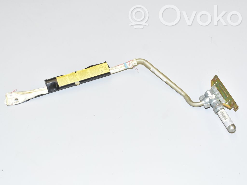 BMW X5 E53 Airbag del techo 