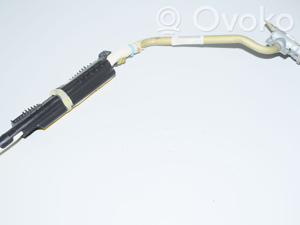 BMW X5 E53 Airbag del techo 