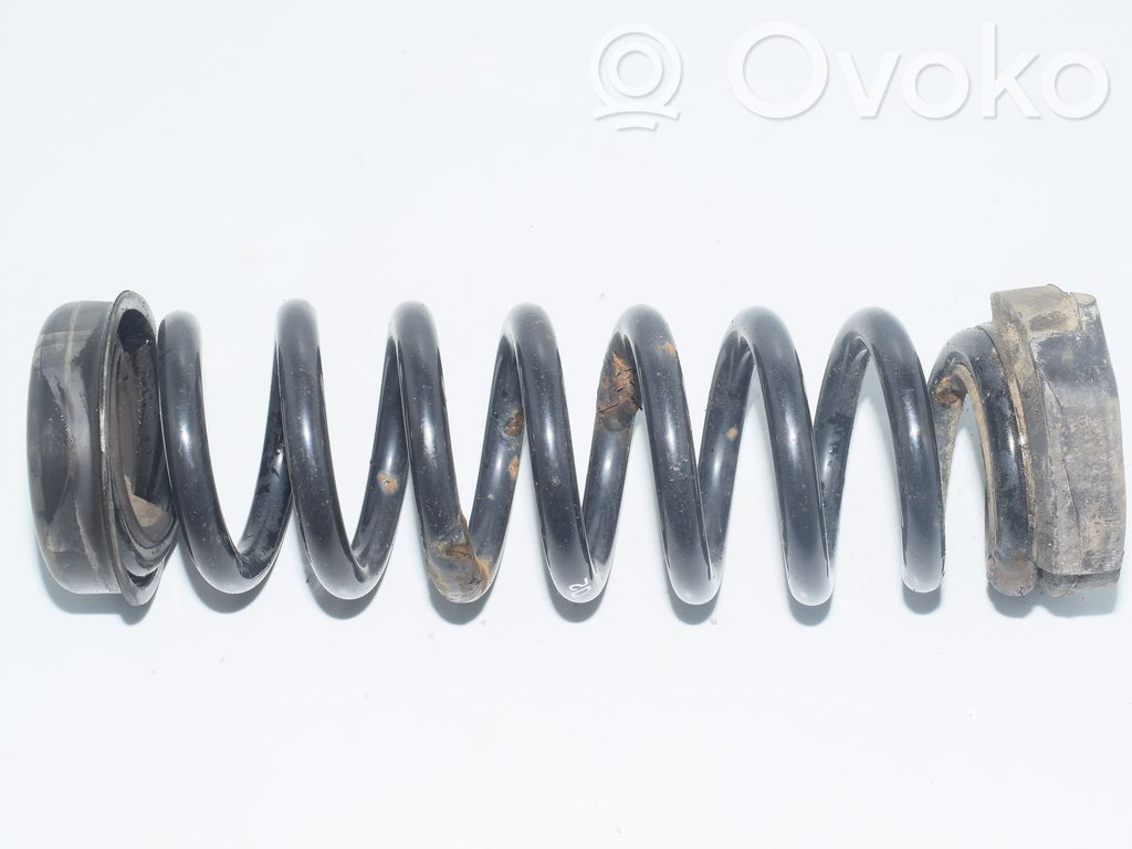Rear coil spring