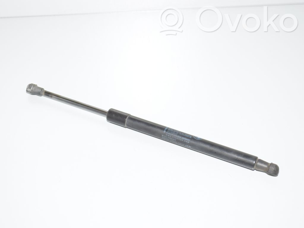 Tailgate/trunk strut/damper   51247250308,7250308,4365788,4394052,51244365788,51244394052,51247060623,7060623
