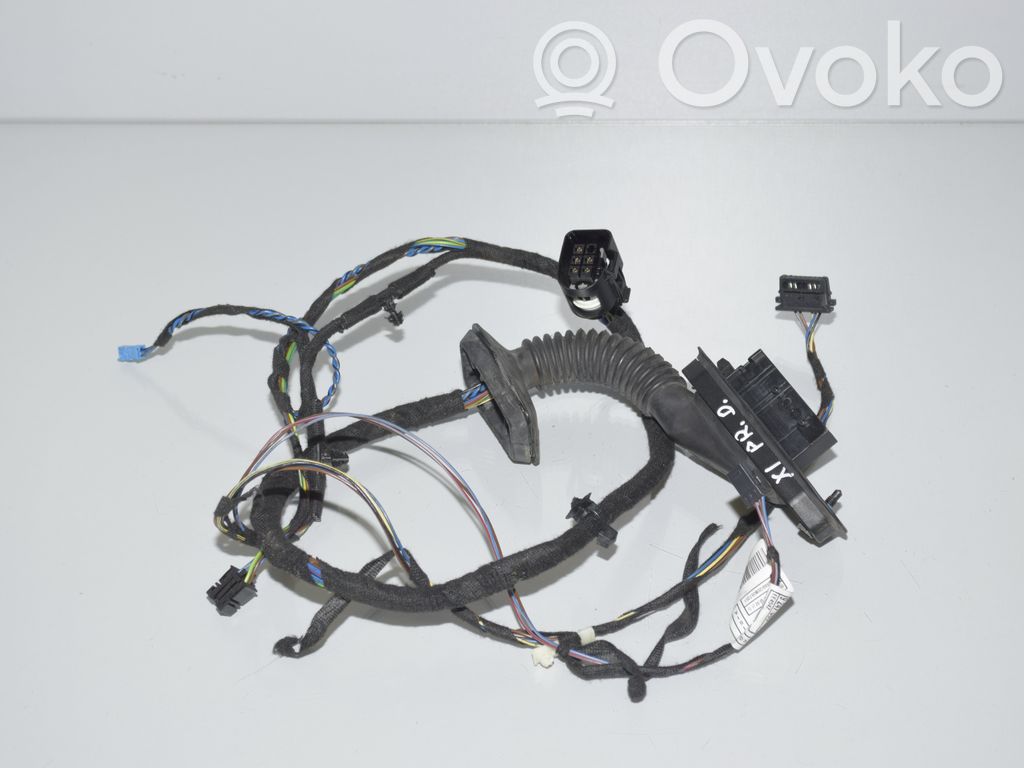 BMW X1 E84 Etuoven johtosarja 
