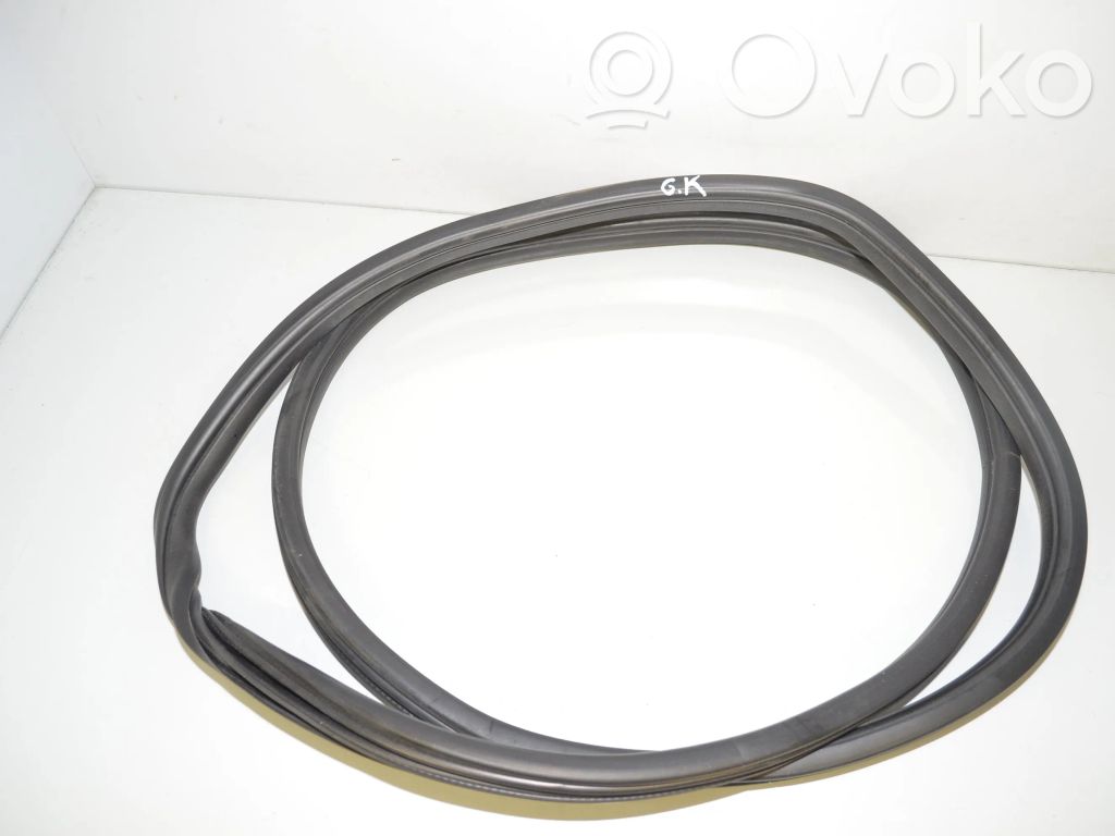BMW X6 E71 Gumowa uszczelka drzwi tylnych / na karoserii 