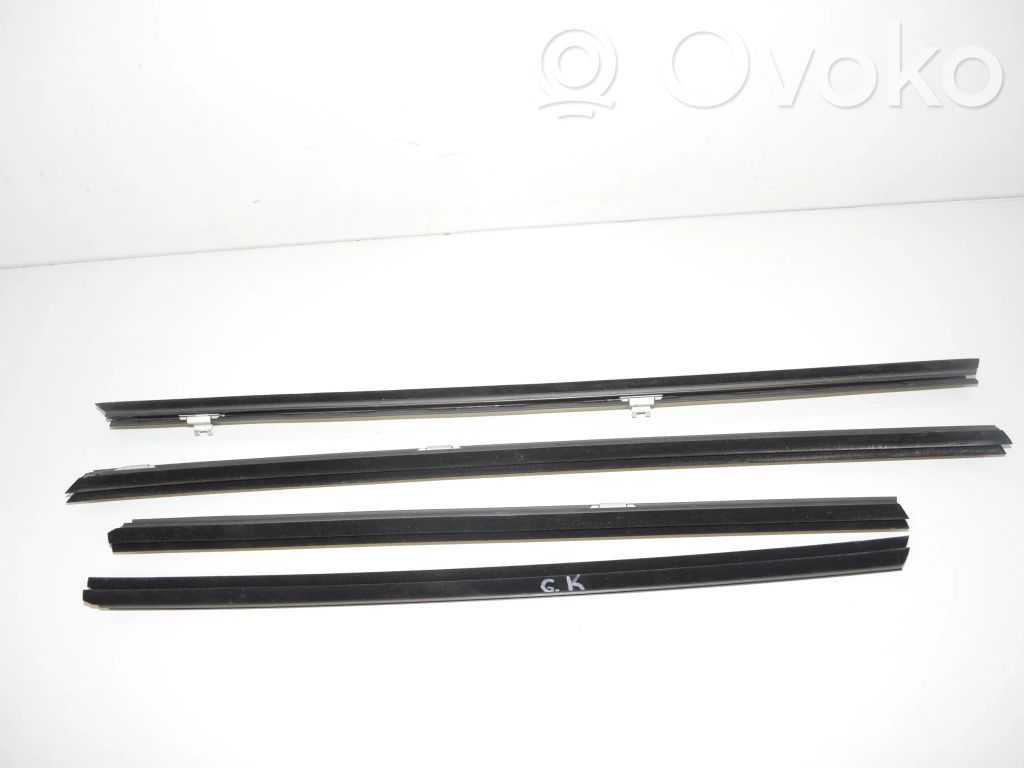 BMW X6 E71 Listwa / Uszczelka szyby drzwi przednich 