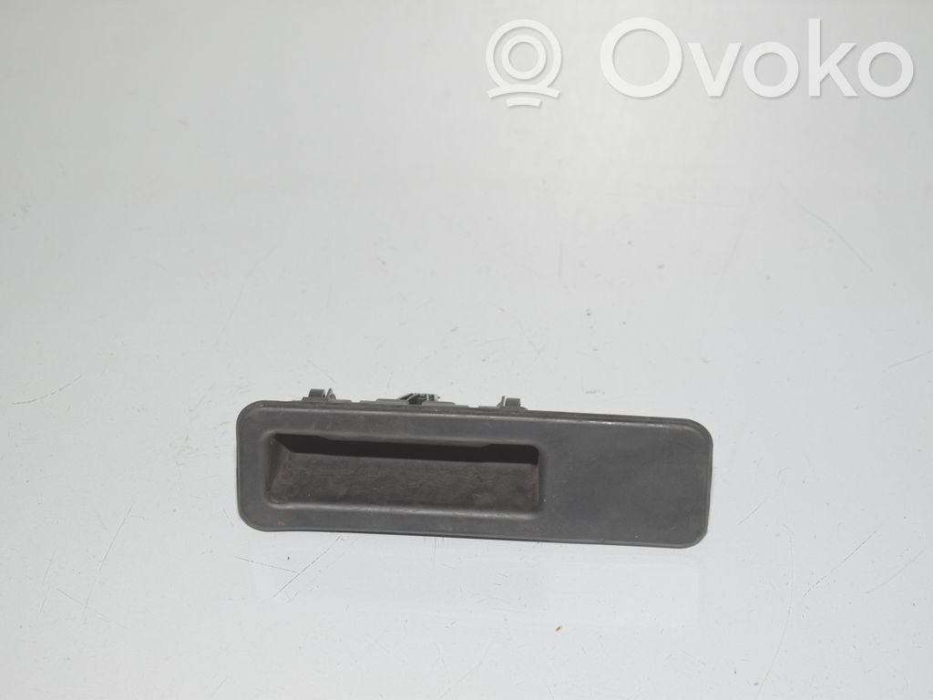BMW 1 F40 Loading door exterior handle 