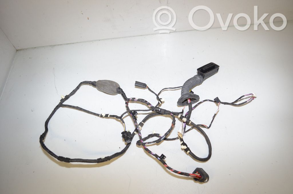 BMW X3 G01 Cableado de puerta trasera 