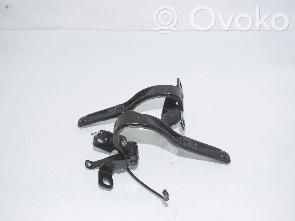 Tailgate/trunk/boot hinge   7296773,7296774,51247296773,51247296774