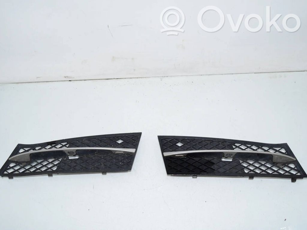BMW 5 F10 F11 Mascherina inferiore del paraurti anteriore 