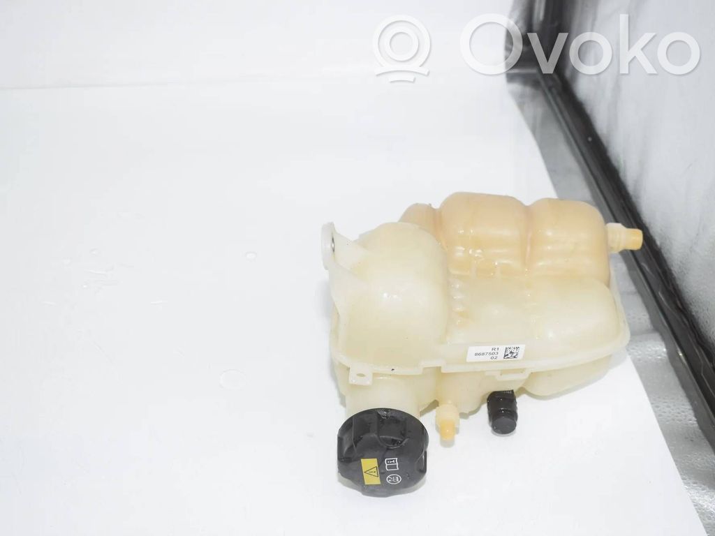 BMW 2 F46 Depósito del refrigerante