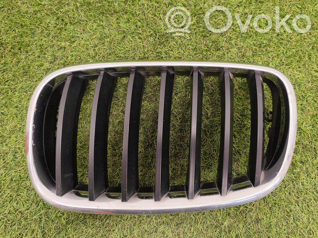 BMW X5 E70 Front bumper upper radiator grill 