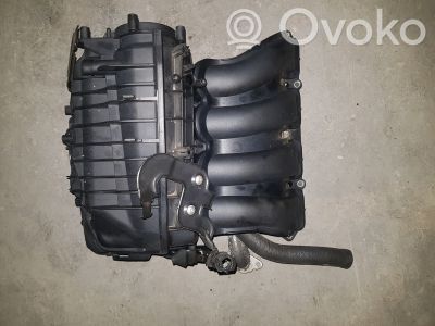 Kolektorius įsiurbimo   N43B16A,1252755661301
