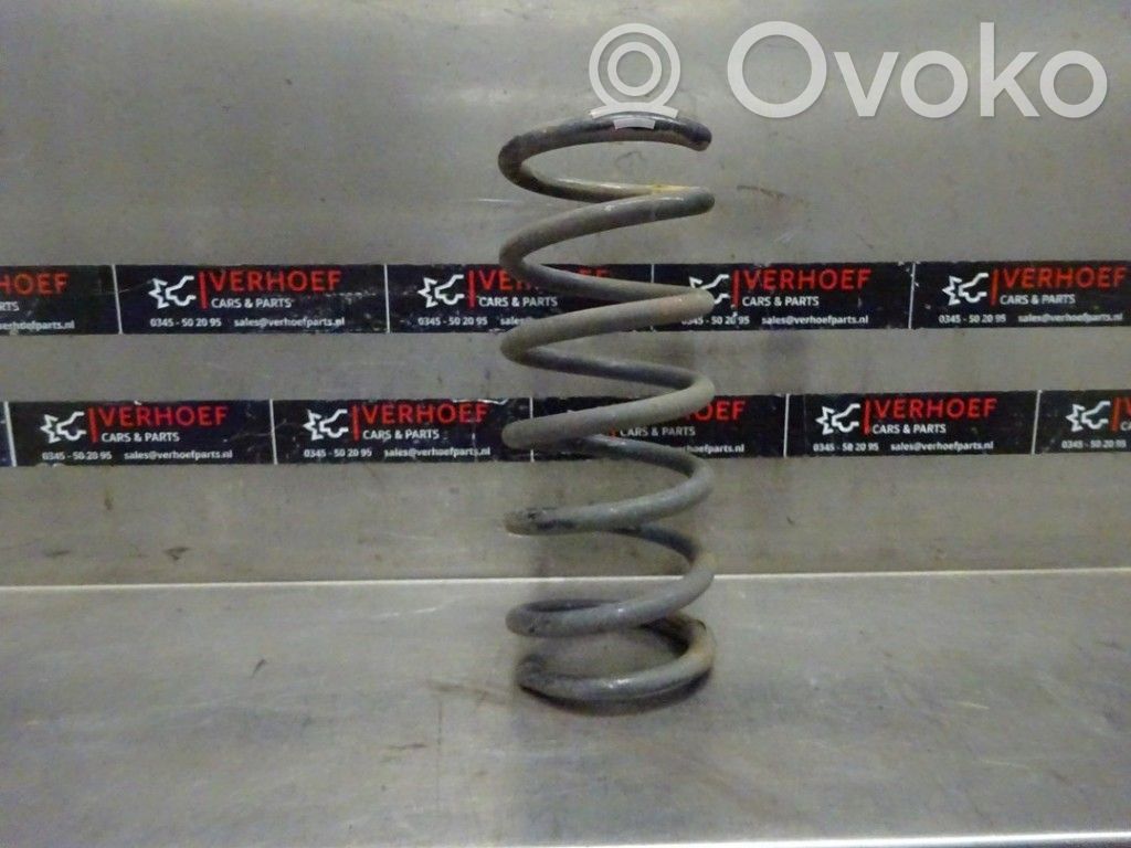 Rear coil spring