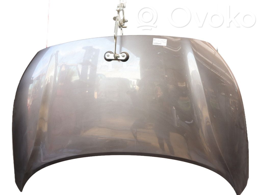 Motorhaube   66400A2000