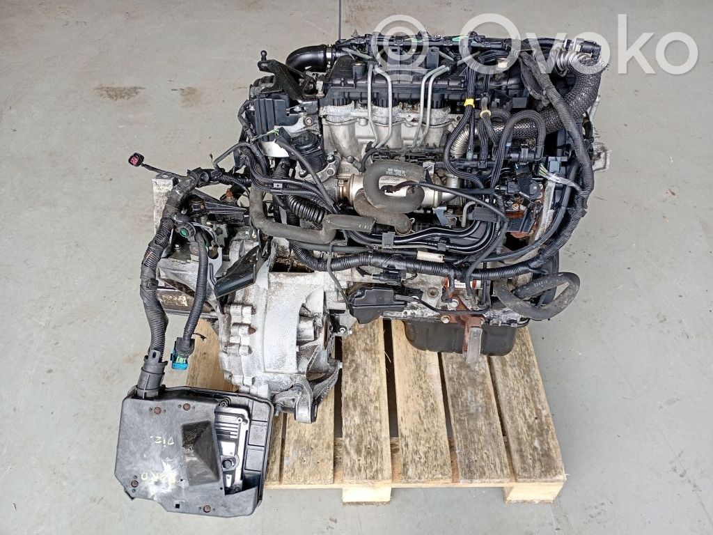 Motor   G8DD