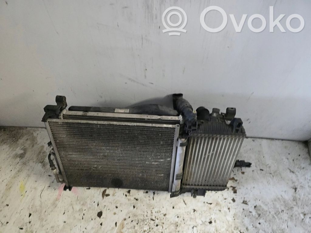 Radiator set   AS2