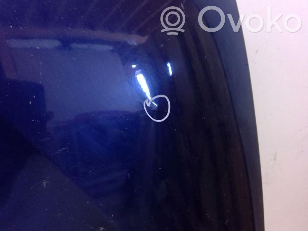 Renault Scenic I Konepelti 