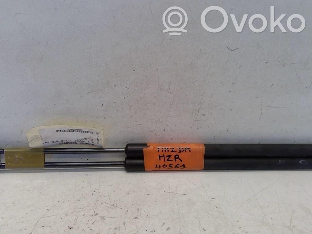Tailgate/trunk strut/damper   D65162620A