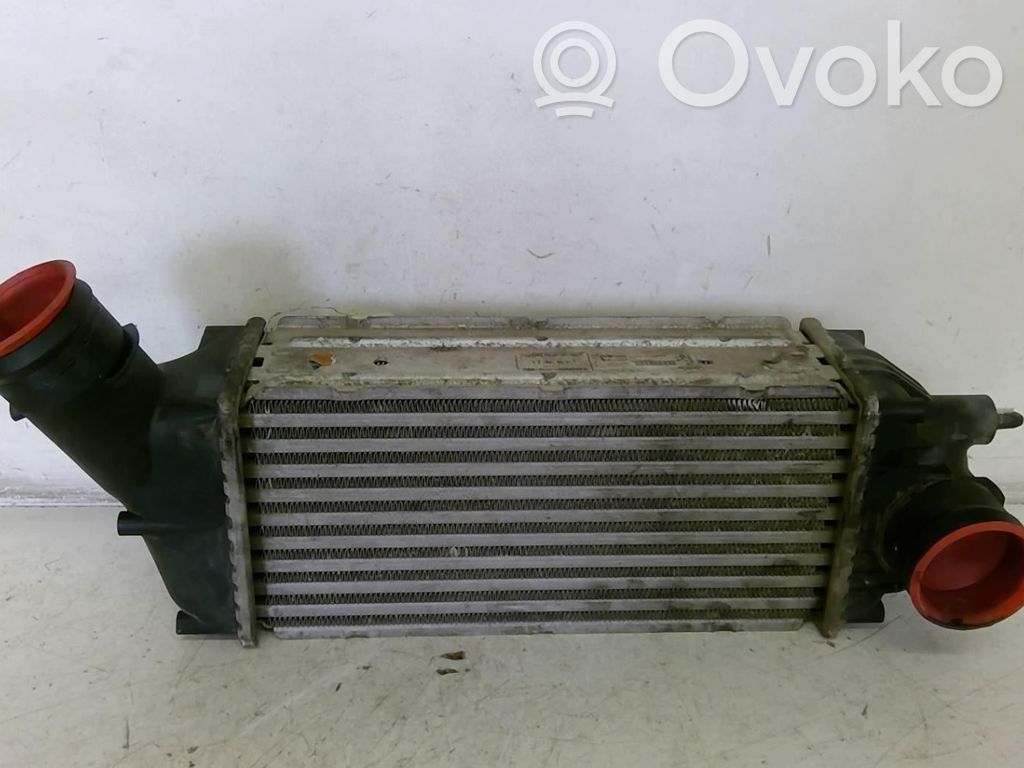 Peugeot 307 Intercooler radiator 