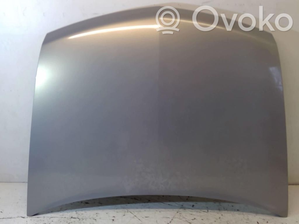 Renault Vel Satis Konepelti 