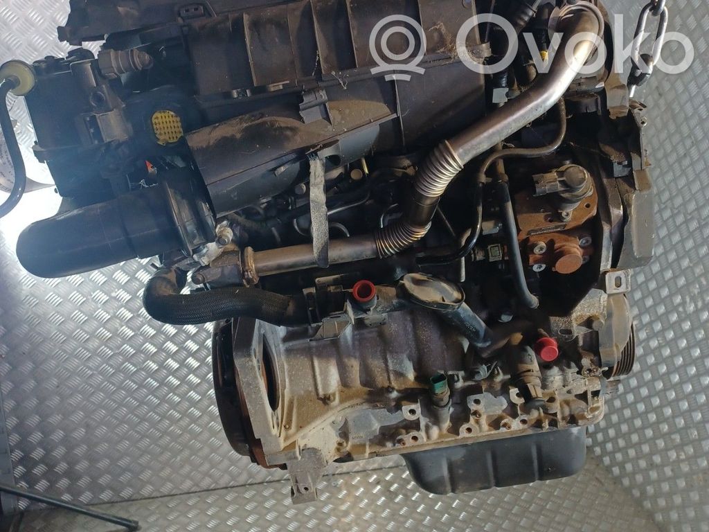 Motor   8HZ