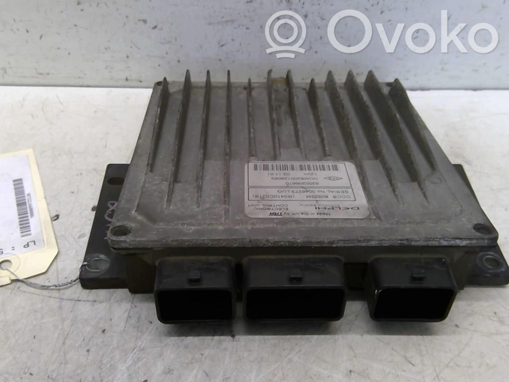 Engine control unit/module   7700115161