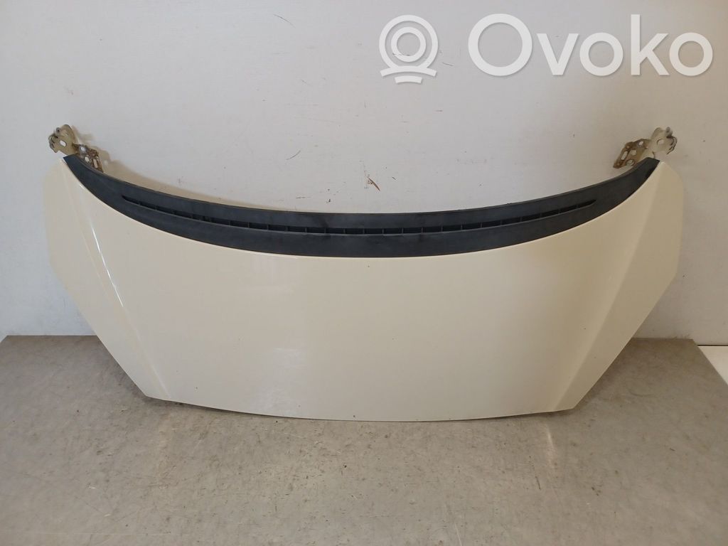 Konepelti   7901Q5