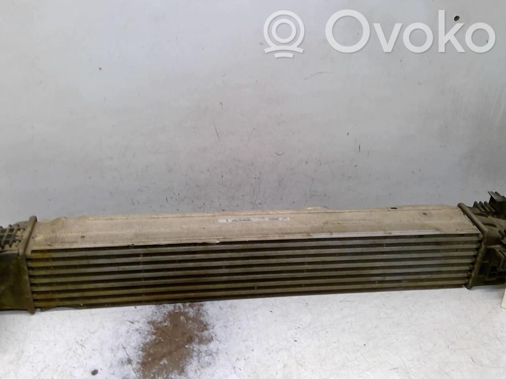 Intercooler radiator   8200880552