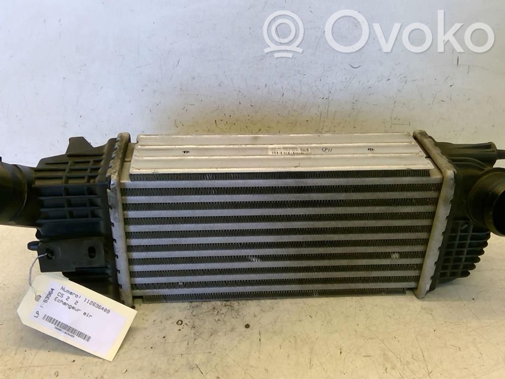 Radiador intercooler   00000384N4