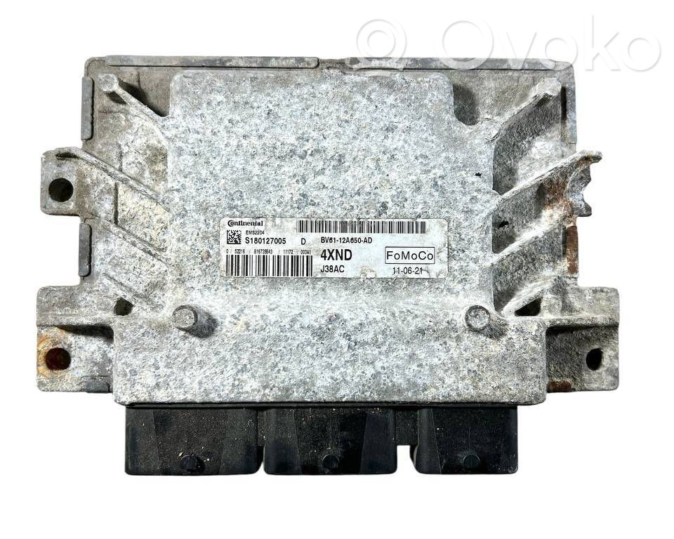 Ford Focus Engine control unit/module 